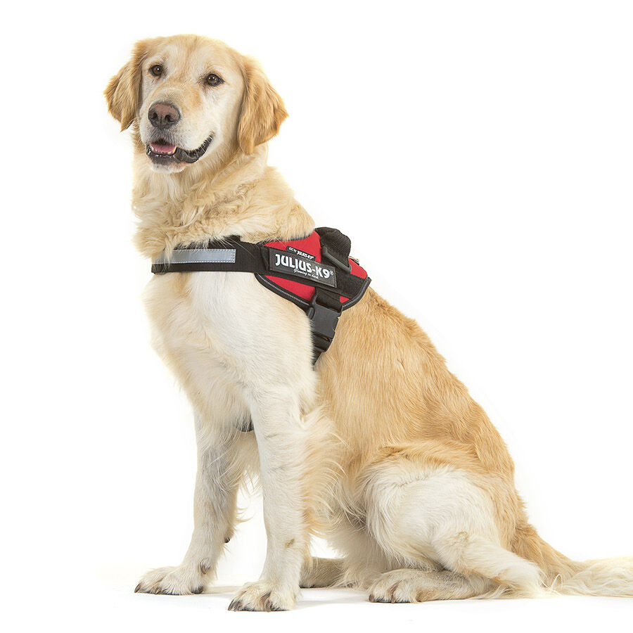 Julius-K9 IDC Arnés Rojo para perros thumbnail