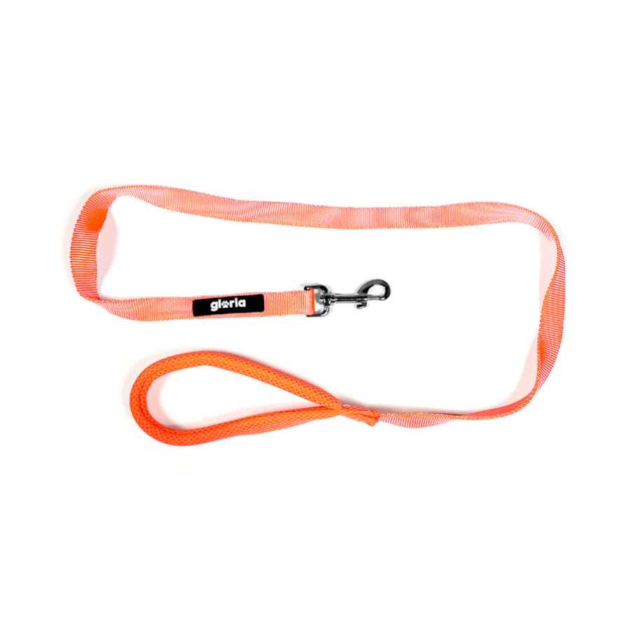 Gloria Air Mesh Trek Star Correa Naranja para perros, , large Imagen numero 3