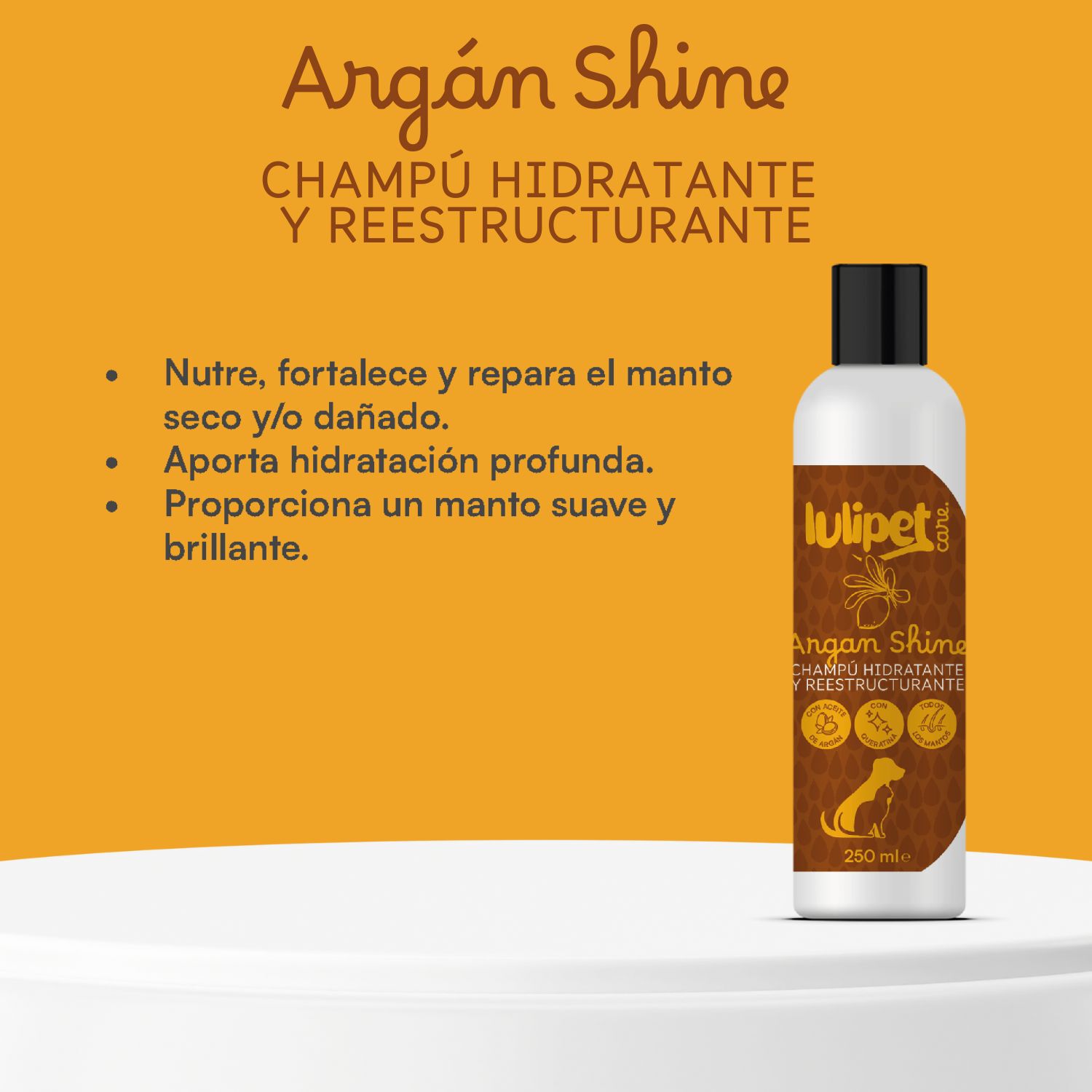 Champú Argán Shine- champú hidratante y reestructurante 250 ml thumbnail