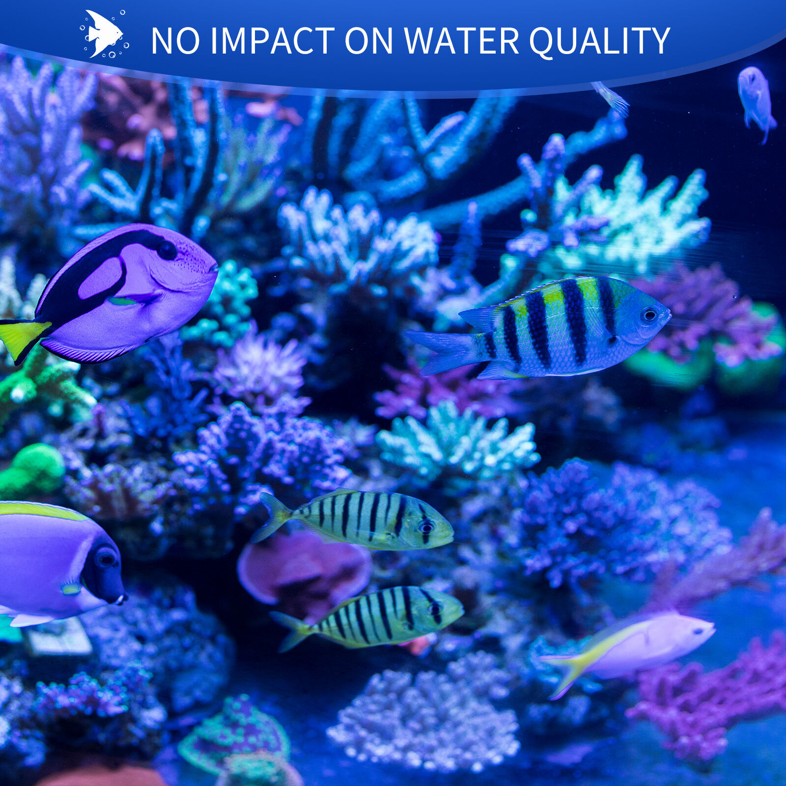 Nobleza - Ali1mento para Pez Peque&ntilde;o, Granulado Blando de Lento Hundimiento para Peces, 45 g/ 100 ml, , large Imagen numero 5