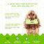 Nobleza Comedero Perro Antivoracidad, Antideslizante Comederos Para Perros, Comedero Antivoracidad Perro, Duradero y no Tóxico Que Evita la Asfixia Comedero Perro Grande y Medianos, Verde, , large indicador imagen numero 3
