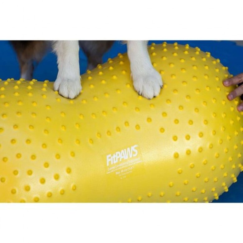 Plataforma de equilibrio para mascotas color Amarillo, , large image number null