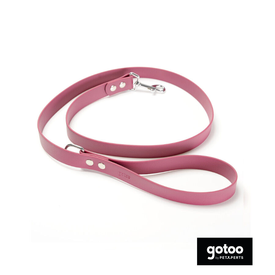 Gotoo Correa Biothane roja vino para perros, , large Imagen numero 2