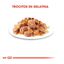 85 g Royal Canin Instinctive gelatina sobres para gatos, , large indicador imagen numero 3