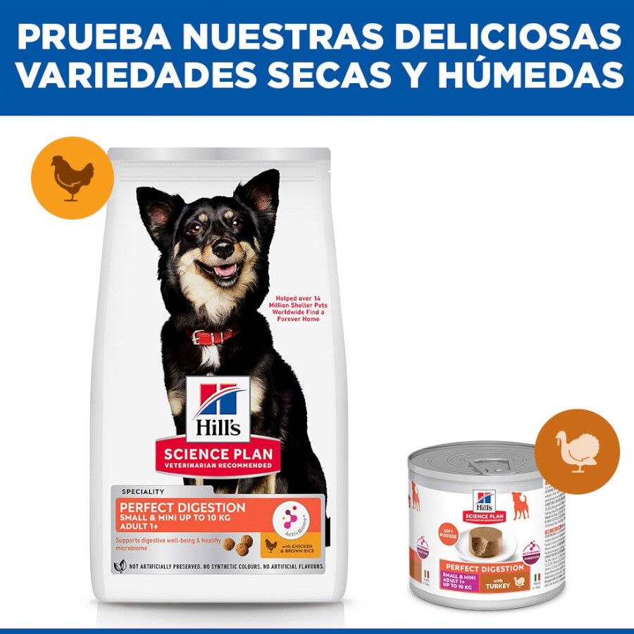 6 kg Hill's Science Plan Perfect Digestion Small y Mini Adult Pollo pienso para perros, , large Imagen numero 8