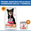 6 kg Hill's Science Plan Perfect Digestion Small y Mini Adult Pollo pienso para perros, , large indicador imagen numero 8