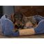 Cama De Mascota color Azul, , large indicador imagen numero 8