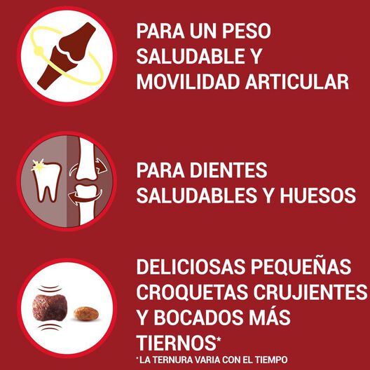 Purina One Senior 8+ Mini pienso para perros , , large image number null