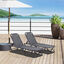Outsunny Conjunto de 2 Tumbonas Reclinables de Aluminio Tumbonas de Jard&iacute;n con Respaldo Ajustable en 4 Posiciones Carga 120 kg para Terraza Piscina Playa 163x58,5x91 cm Gris, , large indicador imagen numero 2