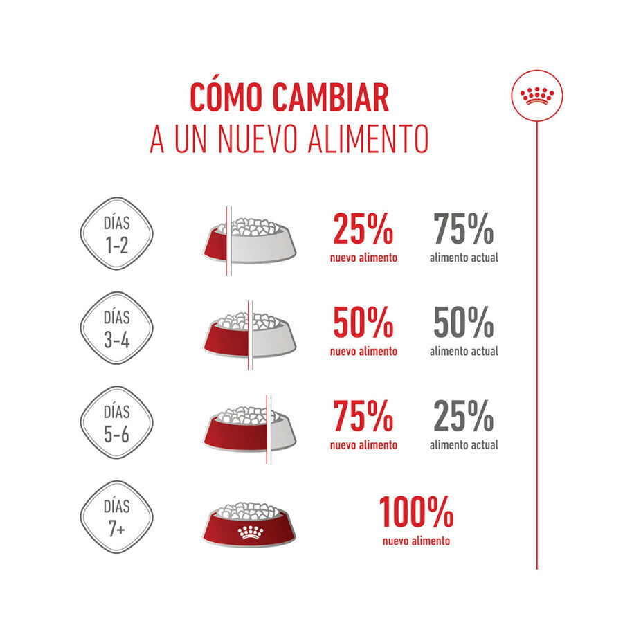 15 kg Royal Canin Puppy Maxi pienso para perros, , large Imagen numero 10