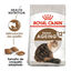 4 kg Royal Canin Ageing 12+ pienso para gatos, , large indicador imagen numero 2