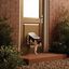 Puerta Para Mascotas De Doble Posición, , large indicador imagen numero 2