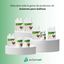 Avianvet Picaje Stop Gallinas y aves de corral 1 kg, , large indicador imagen numero 4