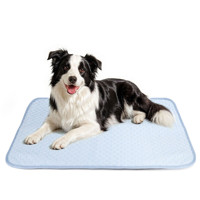 Nobleza Alfombra Refrescante para Perros y Gatos con Tecnolog&iacute;a QMAX>0.5 &ndash; Tejido &ldquo;Bumpy&rdquo; de Secado R&aacute;pido, Antimordedura, Lavable a M&aacute;quina &ndash; 110x70cm &ndash; Azul, , large Imagen numero 7