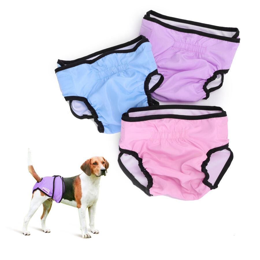 Nobleza 3X Pa&ntilde;ales Lavables para Perros, Bragas Higi&eacute;nica para Perras en Celo, Reutilizable Mascotas Sanitarios Pa&ntilde;al para Perros Hembras (M Cintura 35-45cm, 3 Packs, Azul, Rosa y Violeta), , large Imagen numero 1