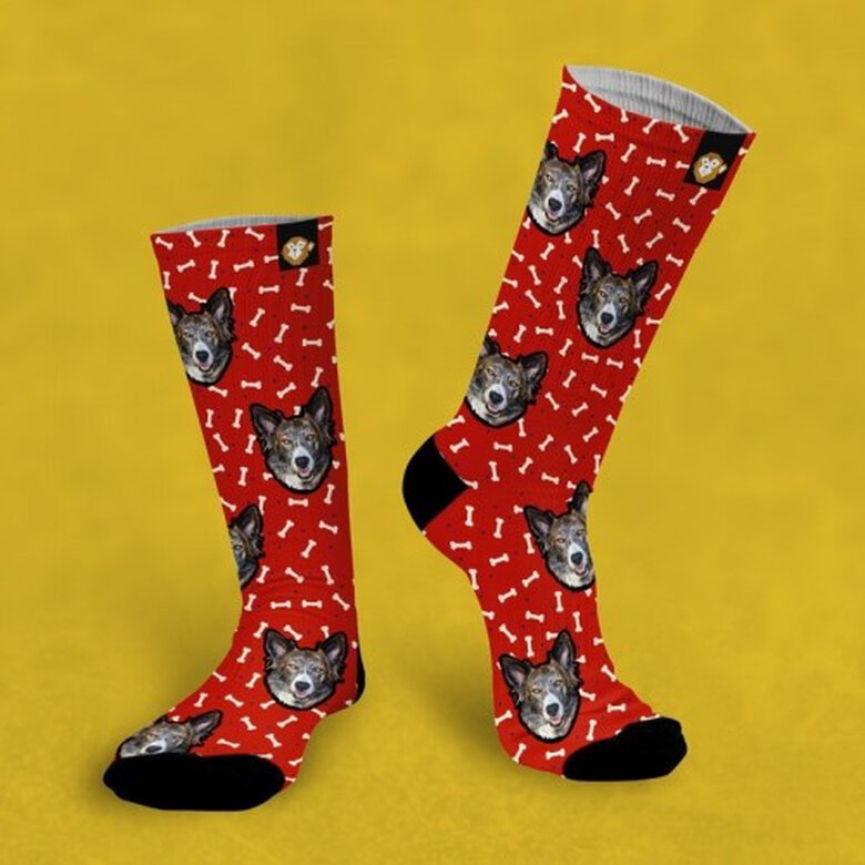 Calcetines personalizados Doggy 2 mascotas color Rojo, , large image number null