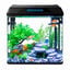 Nobleza - Acuario de Cristal 30L con Iluminaci&oacute;n LED y Sistema de Filtro, Pecera con Cubierta y Accesorios para Peces de Agua Dulce y Salada, Dise&ntilde;o Curvo Moderno, , large indicador imagen numero 1