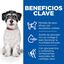 6 kg Hill's Science Plan Perfect Weight y Active Mobility Small y Mini Pollo pienso para perros, , large indicador imagen numero 4