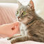 Beaphar VERMIpure Repelente Interno Natural en comprimidos para gatos y gatitos, , large indicador imagen numero 6