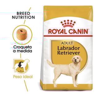 Royal Canin Adult Labrador Retriever pienso para perros