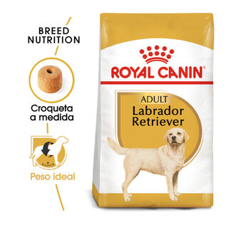 Royal Canin Adult Labrador Retriever pienso para perros