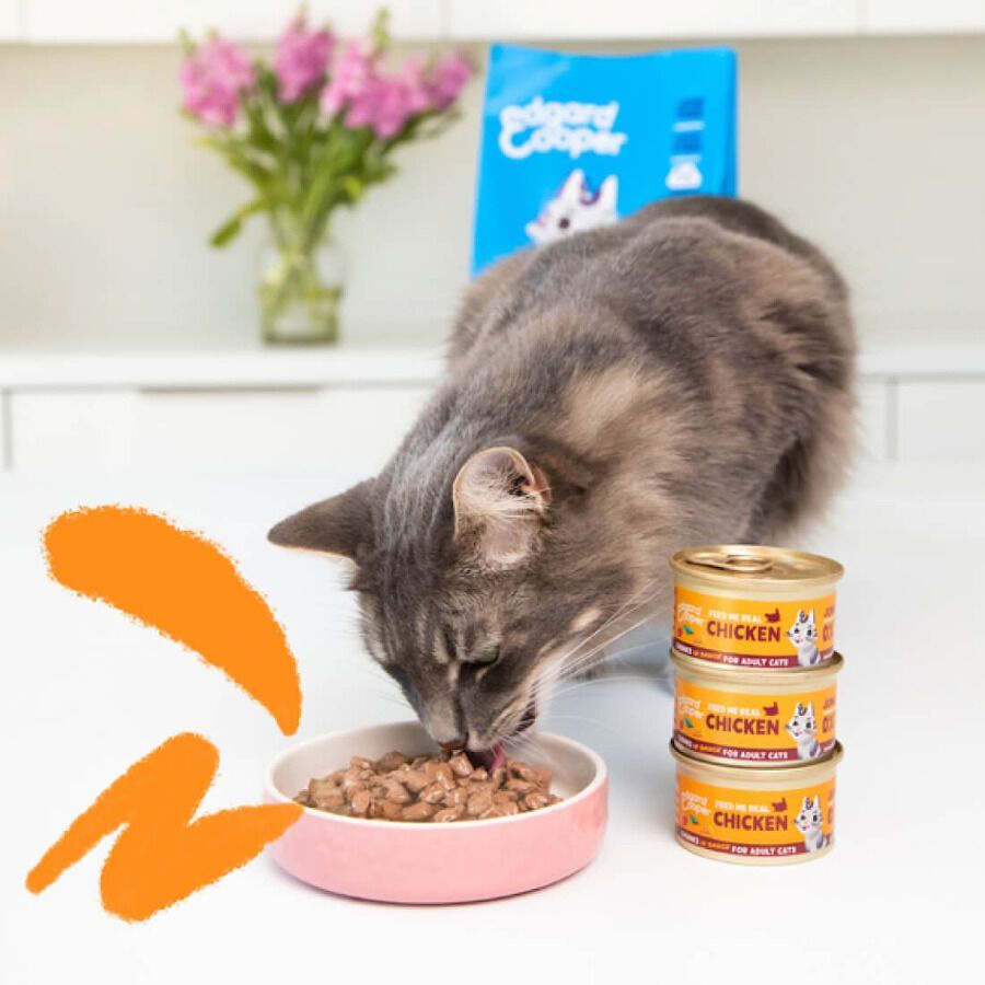 Edgard &amp; Cooper Filetes de Atún y Pollo lata para gatos thumbnail