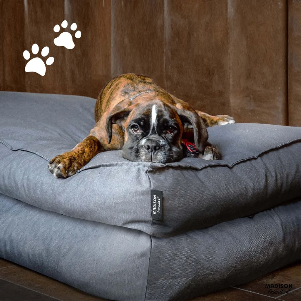 Cama Para Perros, , large Imagen numero 7