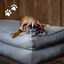 Cama Para Perros, , large indicador imagen numero 7