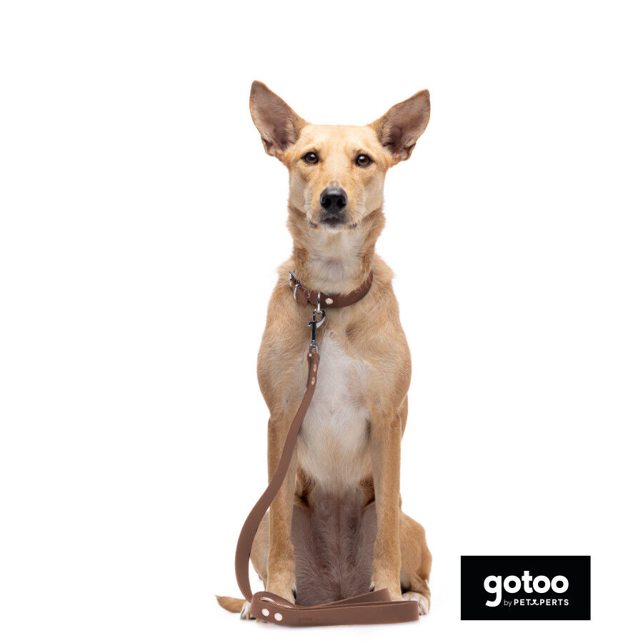 Gotoo Correa Biothane marr&oacute;n para perros, , large Imagen numero 5