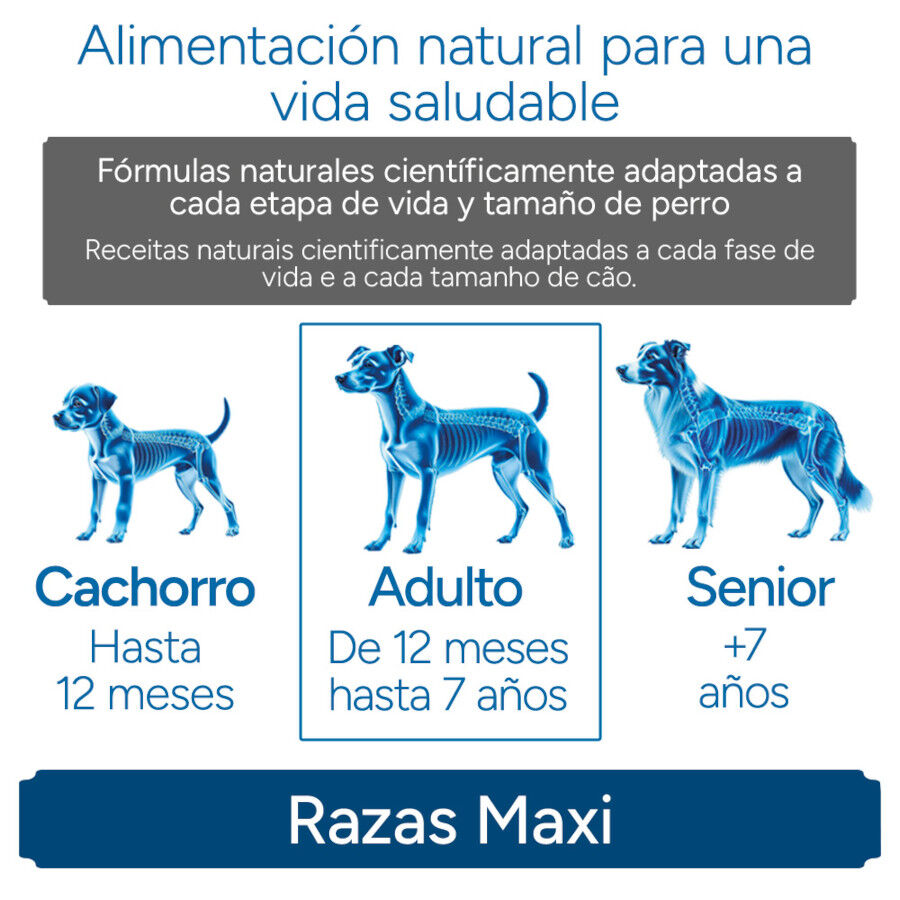 Criadores Cient&iacute;fico Adulto Maxi Pienso Pollo para perros, , large Imagen numero 11
