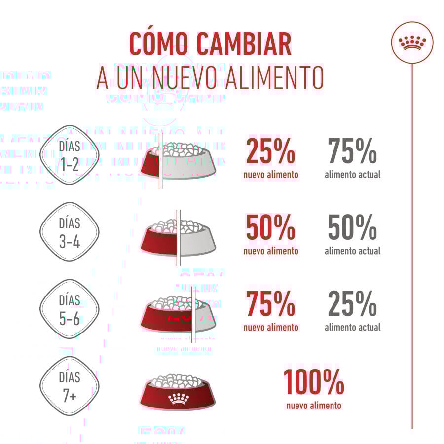 Royal Canin Mini Puppy pienso para perros thumbnail