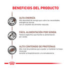 Royal Canin Veterinary Recovery lata para gatos, , large image number null