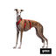 Gotoo Arnés antiescape rojo para perros, , large indicador imagen numero 3
