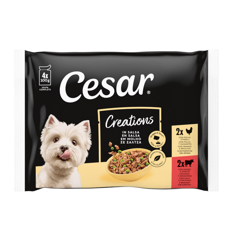 24 sobres x 100 g Cesar Selecci&oacute;n en Salsa Pollo y Buey sobres para perros &iexcl;Pack ahorro!, , large Imagen numero 1