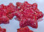 Xmas Doggy Cookies, , large indicador imagen numero 3
