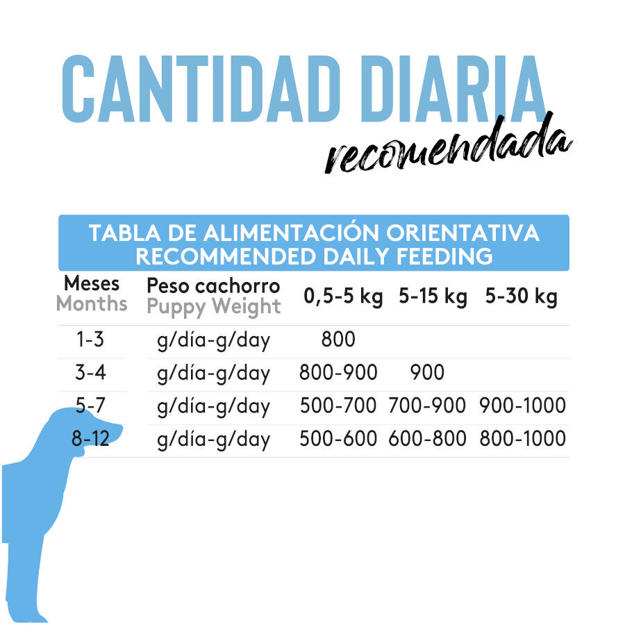 380 g Dibaq Sense Lata Grain Free Salmon y Pavo para cachorros, , large Imagen numero 2