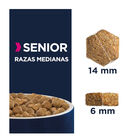 Eukanuba Senior Medium Pollo pienso para perros, , large image number null