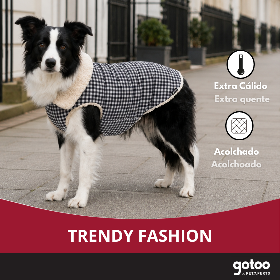 Gotoo Abrigo Azul Vichy para perros, , large Imagen numero 6