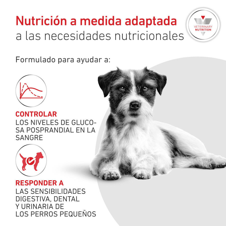 8 kg Royal Canin Glycobalance Pienso para perros, , large Imagen numero 3