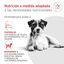 8 kg Royal Canin Glycobalance Pienso para perros, , large indicador imagen numero 3