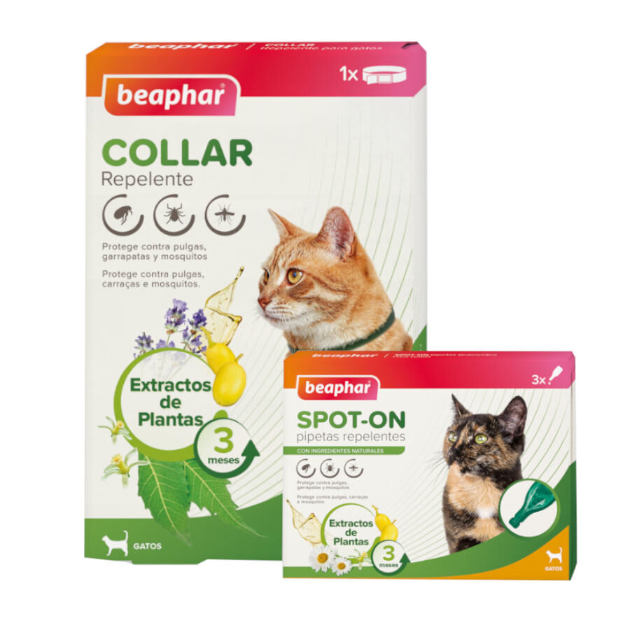 1 collar x 35 cm + 3 pipetas Pack Beaphar Collar y Pipetas repelentes para gatos &iexcl;Pack ahorro!, , large Imagen numero 1