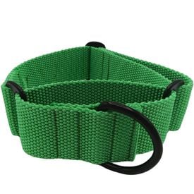 El Galguito Valiente Collar Martingale verde para galgos