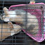 Aseo para conejo 38.7*25*21cm, , large indicador imagen numero 5