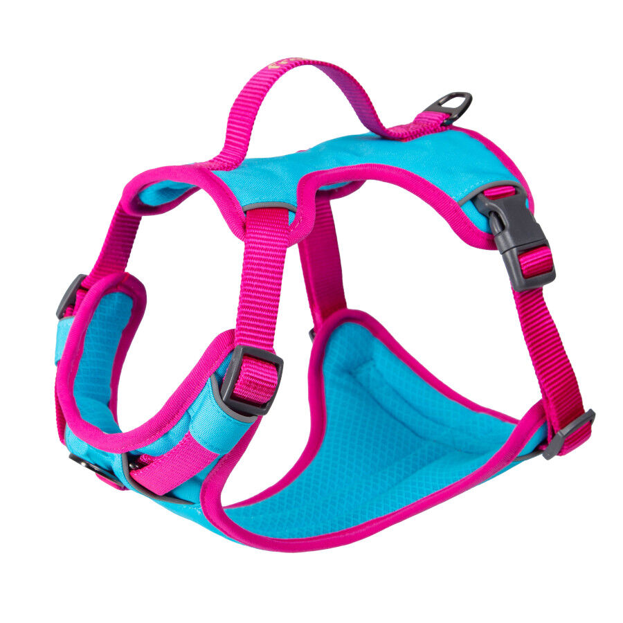 Freedog Cool Pro Tech Fucsia Arn&eacute;s Refrescante Deportivo para perros, , large Imagen numero 2