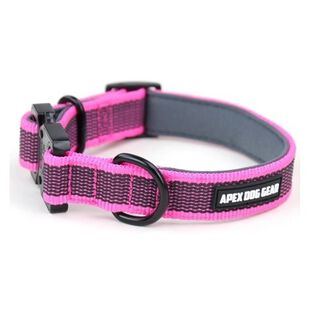 APEX DOG GEAR collar ajustable con cierre metálico rosa para perros