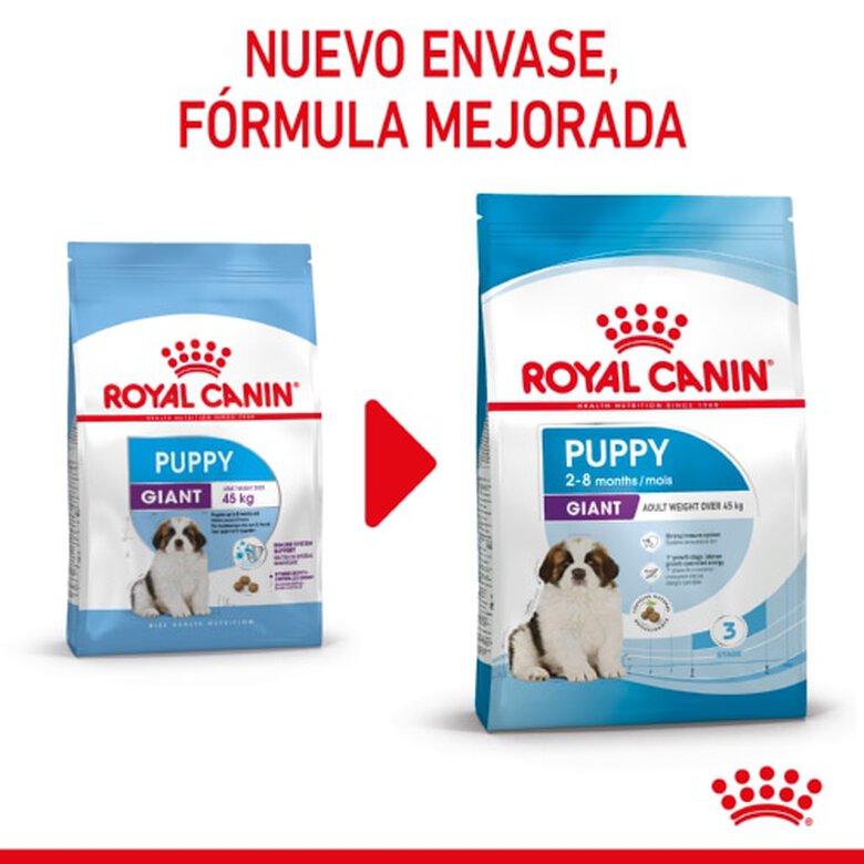 Royal Canin Puppy Giant pienso para perros, , large image number null