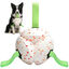 Nobleza Pelota Interactiva para Perros Medianos y Grandes (15 cm) - Juguete Resistente de Goma Flotante con Asas para Tirar y Morder, Pelota El&aacute;stica e Indestructible para Agua, Parque y Entrenamiento, , large indicador imagen numero 1