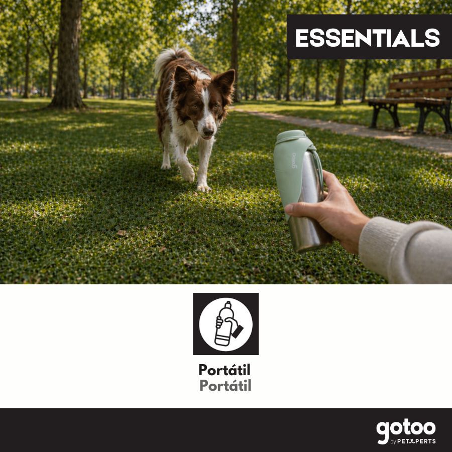 Gotoo Botella Bebedero Port&aacute;til de Acero Inoxidable Verde para perros, , large Imagen numero 5