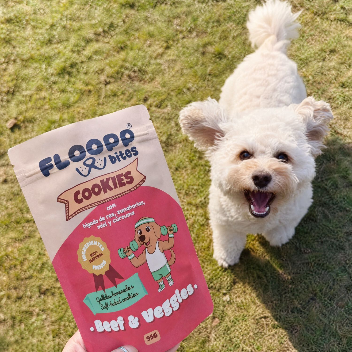 Floopp Bites Galletas Naturales para Perros | Beef & Veggies | 95 g, , large Imagen numero 2