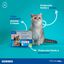 Virbac Effipro Duo Pipetas Antiparasitarias para gatos, , large indicador imagen numero 2
